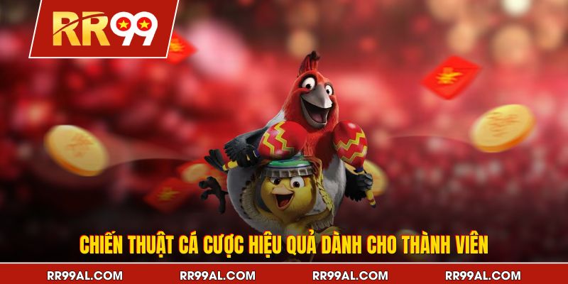 Chiến thuật cá cược hiệu quả dành cho thành viên
