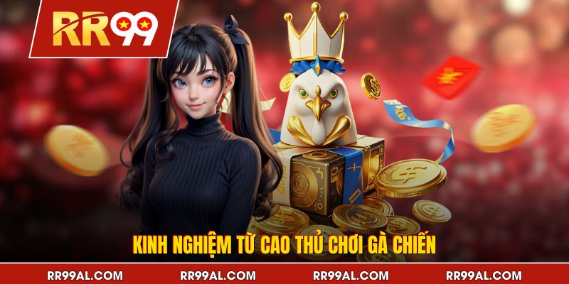 Kinh nghiệm từ cao thủ chơi gà chiến